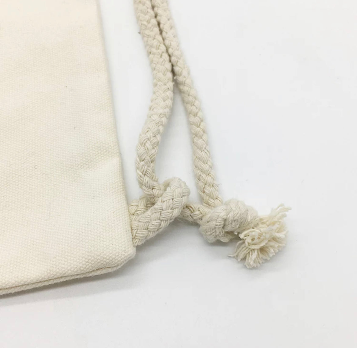 Canvas Backpack / Bookbag